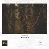 Soa Dreams - Blossom