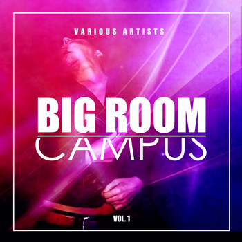 Various Artists - Big Room Campus, Vol. 1