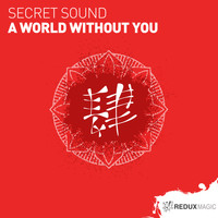 Secret Sound - A World Without You
