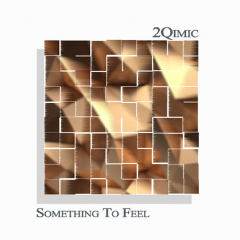 2Qimic - Something To Feel