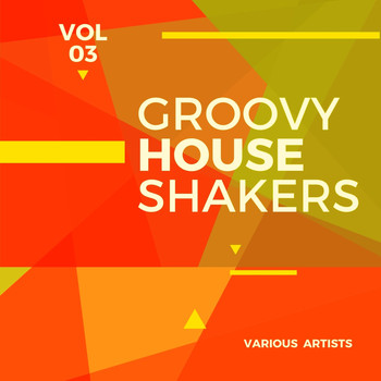 Various Artists - Groovy House Shakers, Vol. 3
