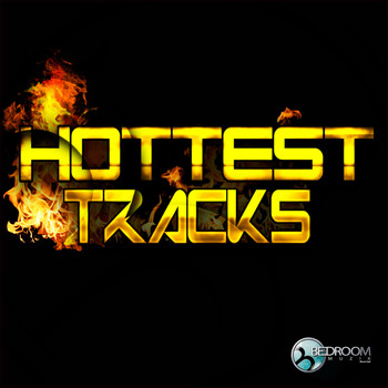 Various Artists - Hottest Tracks