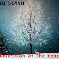 DJ 5L45H - Collection Of The Year