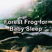 Organic Nature Sounds - Forest Frog for Baby Sleep
