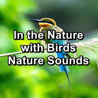Animal and Bird Songs - In the Nature with Birds Nature Sounds