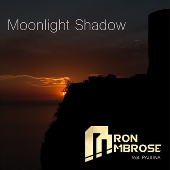 Aaron Ambrose - Moonlight Shadow