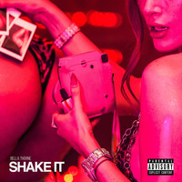 Bella Thorne - Shake It (Explicit)