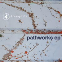 Drosophila - Pathworks EP