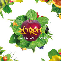 DJ Tron - Fruits of Funk