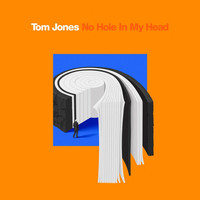 Tom Jones - No Hole In My Head (Single Edit)