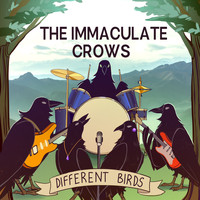 The Immaculate Crows / - Different Birds