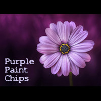 Brass Flask / - Purple Paint Chips