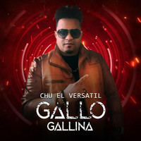 Chu El Versatil - Gallo Gallina