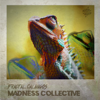 Fractal Calangos / - Madness Collective