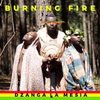 Burning Fire / - Dzanga La Mesia