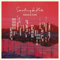 Something For Kate - Miracle Cure - EP