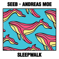 Seeb, Andreas Moe - Sleepwalk