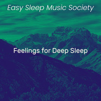 Easy Sleep Music Society - Feelings for Deep Sleep