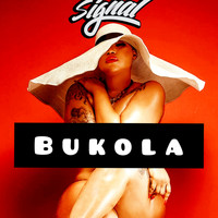 Signal - Bukola
