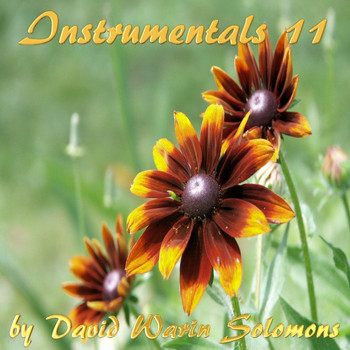 David Warin Solomons - Instrumentals 11