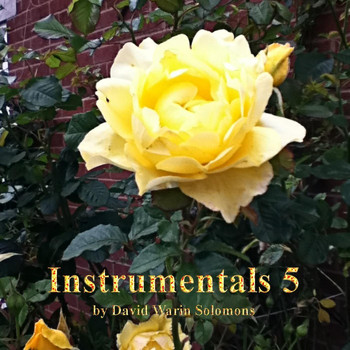David Warin Solomons - Instrumentals 5