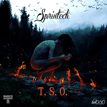 Sprintech - T.S.O.