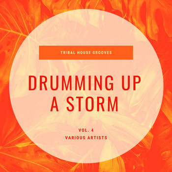 Various Artists - Drumming Up A Storm (Tribal House Grooves), Vol. 4