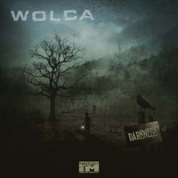 Wolca - Darkness