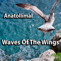 AnatolliMal - Waves Of The Wings