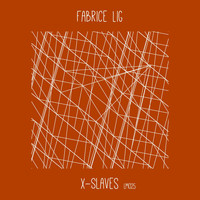 Fabrice Lig - X-slaves
