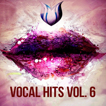 Various Artists - Vocal Hits, Vol. 6