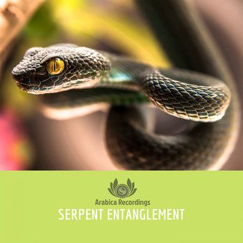 Various Artists - Serpent Entanglement