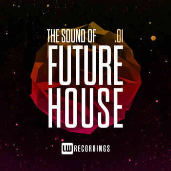 Various Artists - The Sound Of Future House, Vol. 01