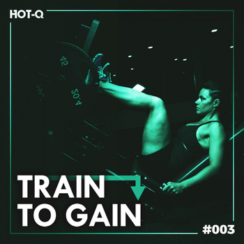 Various Artists - Train To Gain 003