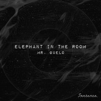 Mr. Guelo - Elephant In The Room