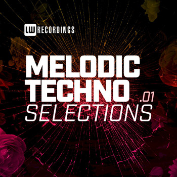 Various Artists - Melodic Techno Selections, Vol. 01