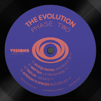Various Artists - The Evolution Phase Two