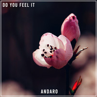 Andaro - Do You Feel It