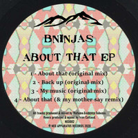 BNinjas - About that