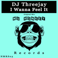 DJ Threejay - I Wanna Feel It