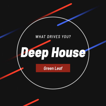 Deep House - What Drives You?
