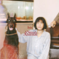 Inis - Animal