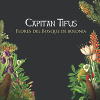 La Fanfarria del Capitán - Flores del Bosque de Bolonia