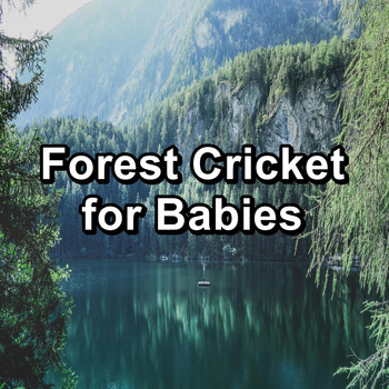 Relaxing Music Therapy - Forest Cricket for Babies