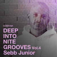 Sebb Junior - Deep Into Nite Grooves, Vol. 4