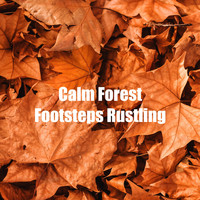 Relaxing Nature Music - Calm Forest Footsteps Rustling