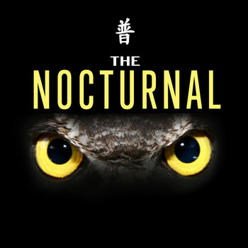Various Artists / - The Nocturnal