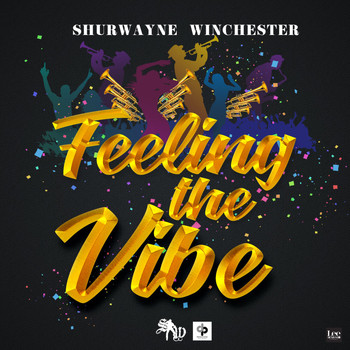 Shurwayne Winchester - Feeling the Vibe
