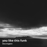 Kingdom Bless - You Like This Funk