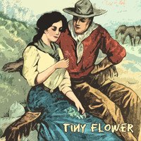 Kenny Burrell - Tiny Flower